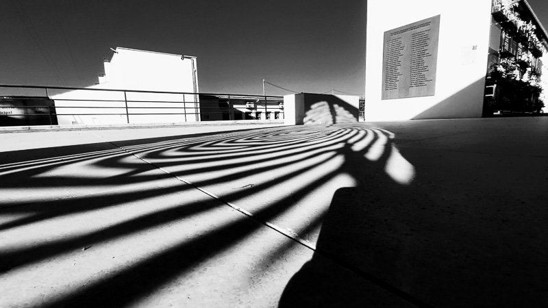 gallery 36. Puerta a la memoria 013 P1