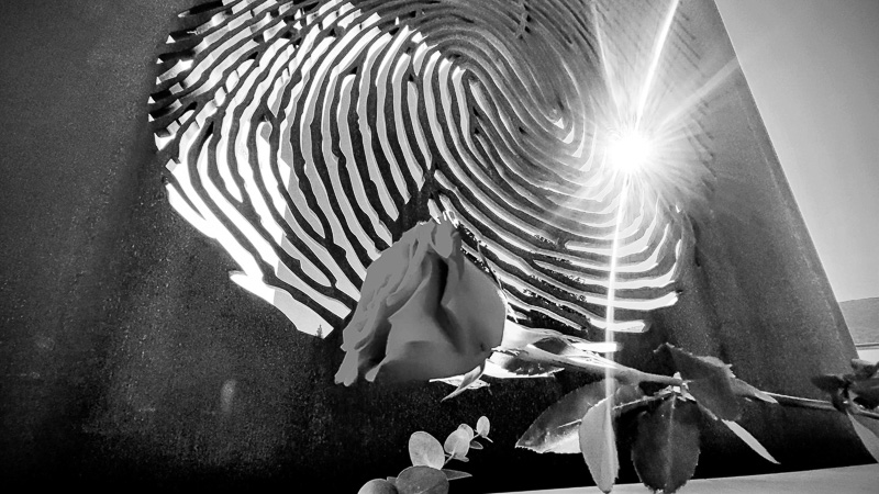 gallery 36. Puerta a la memoria 017 P5