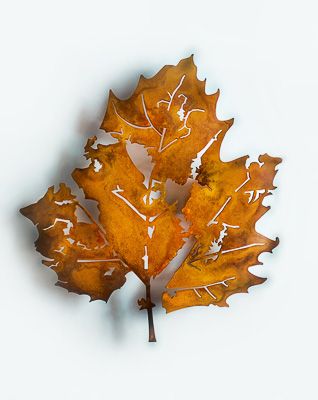 trabajos 1. Nervaduras 47.Platanero