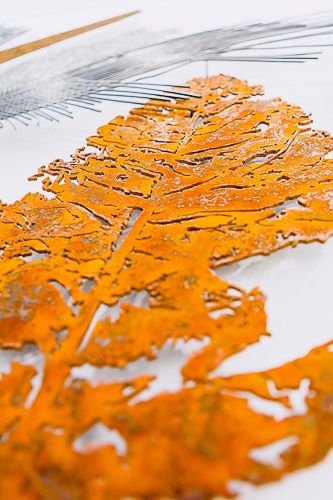 26. PARAISO PERDIDO-10-10