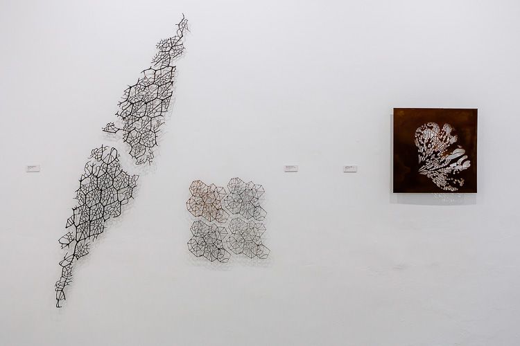 26. PARAISO PERDIDO-11-11