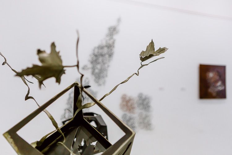 26. PARAISO PERDIDO-15-15