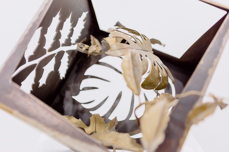 26. PARAISO PERDIDO-16-16