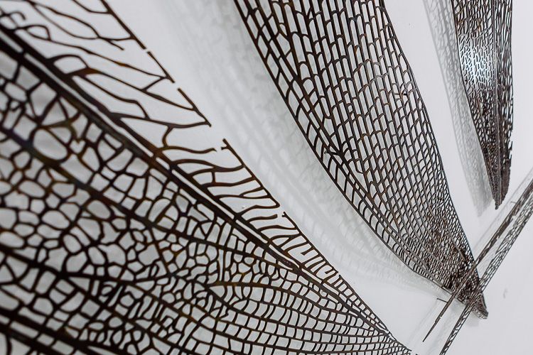 26. PARAISO PERDIDO-3-03