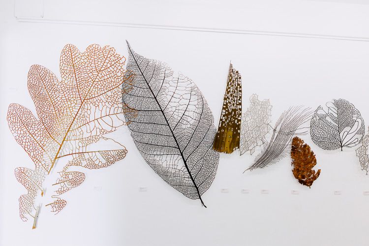 26. PARAISO PERDIDO-9-09