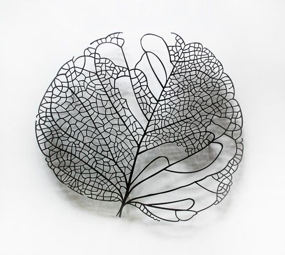 37. LOS MUNDOS SUTILES Redonda