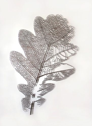 37. LOS MUNDOS SUTILES Roble