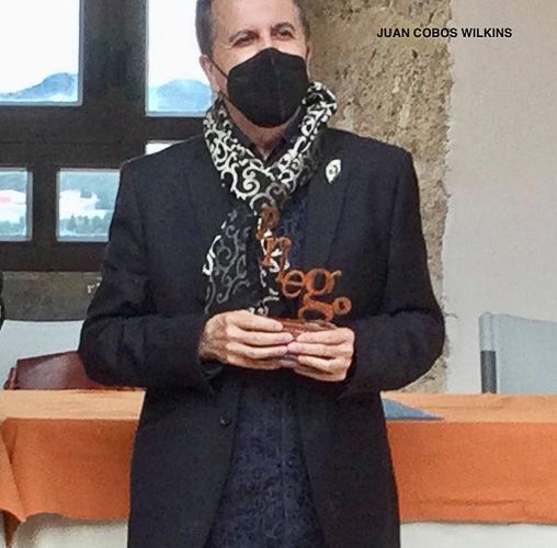 41. Estatuillas para premios 14