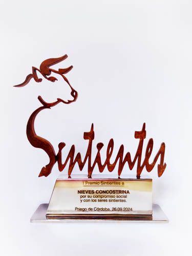 41. Estatuillas para premios 24.premio Sintientes