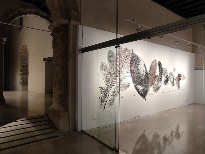 Centro de Iniciativas Culturales El Posito de Loja 03