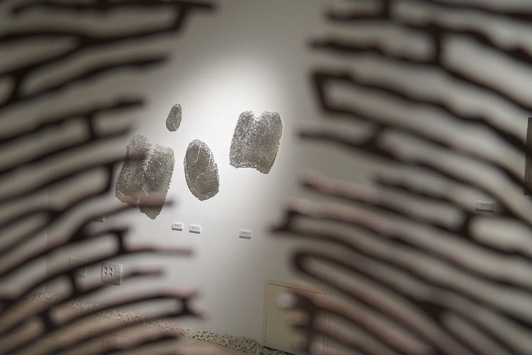 Centro de Iniciativas Culturales El Posito de Loja 13