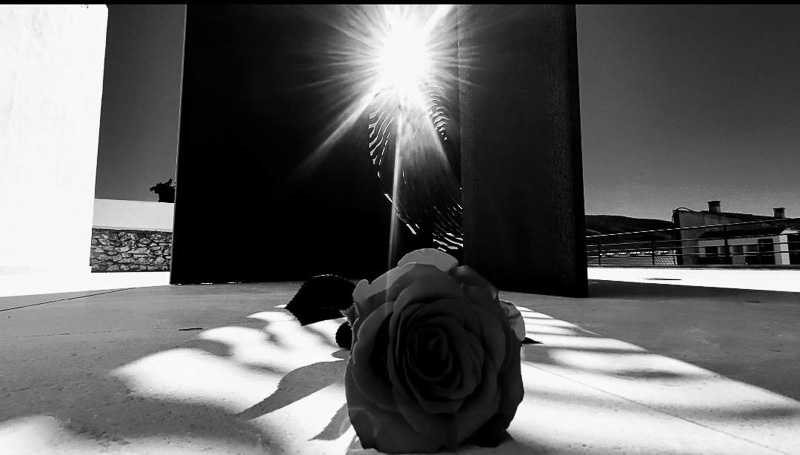 gallery 36. Puerta a la memoria 018 P6