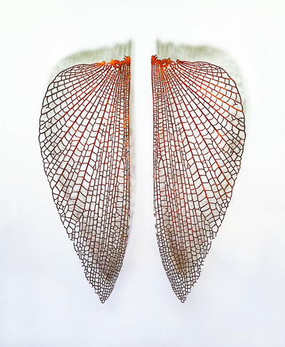 gallery 51. Affordable Art Fair Berlín 14